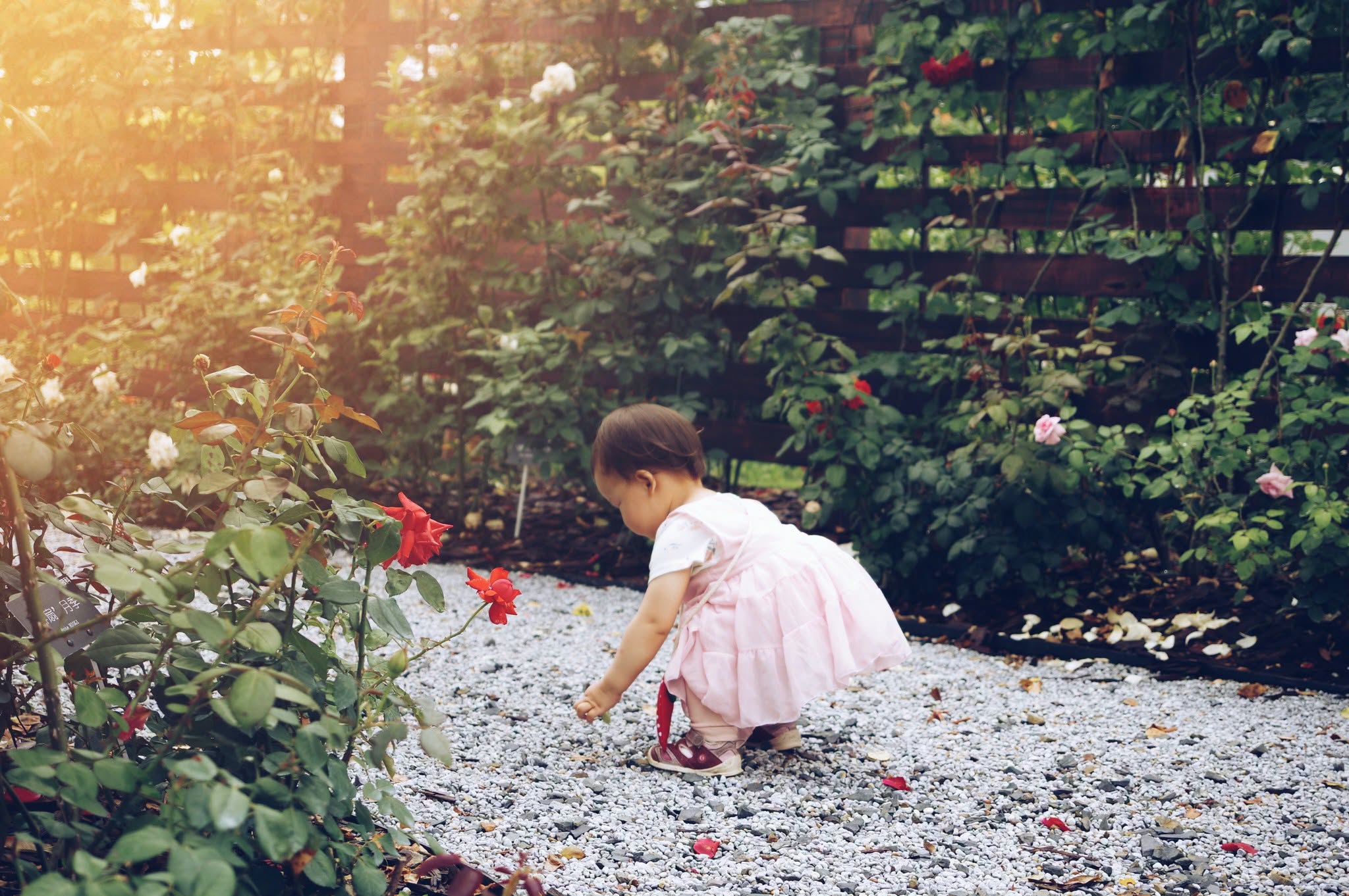 Montecito Full-Time Nanny